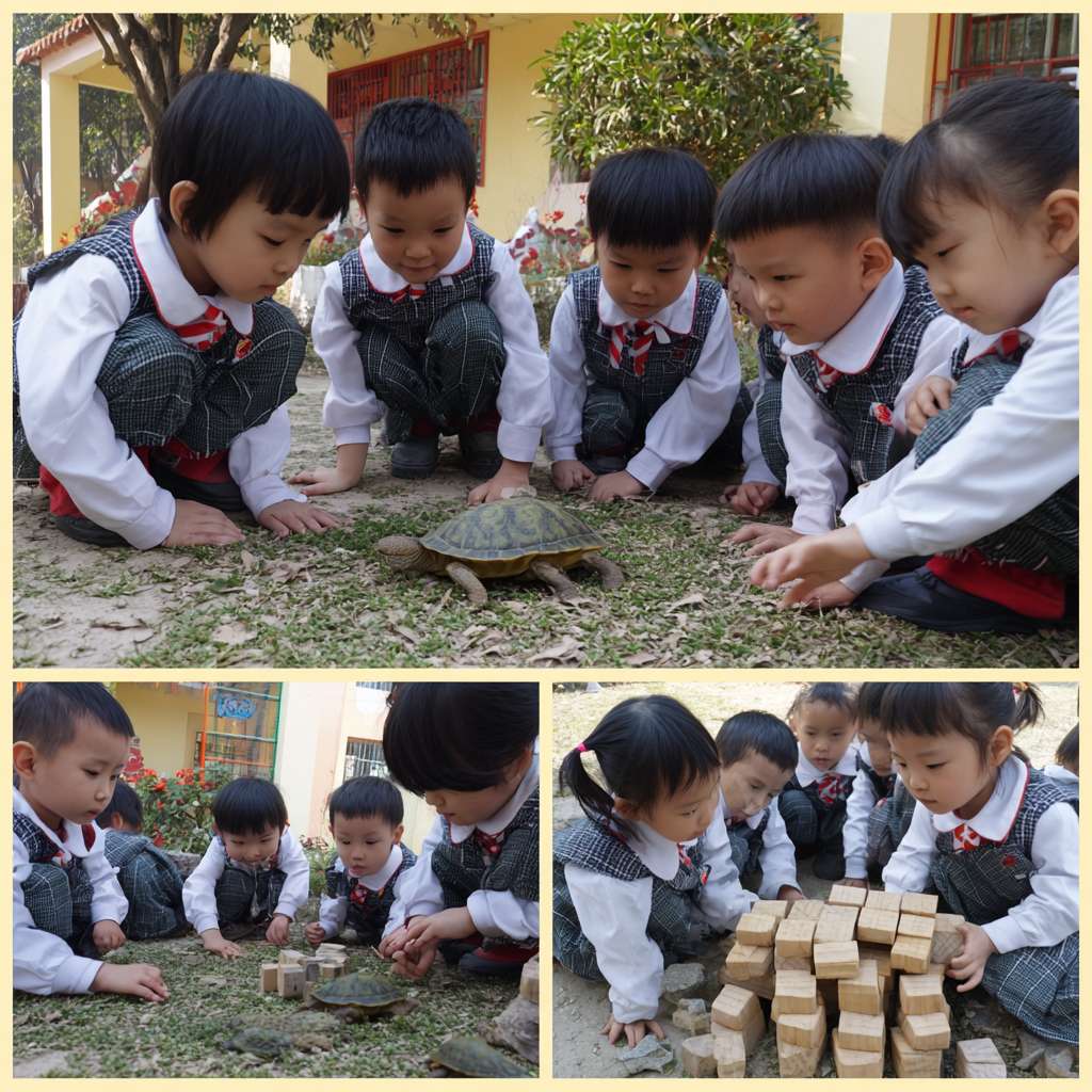 一班小六穿校服的學生們在校園裡圍成一個半圓形，以卡通的風格展示穿山甲、老虎、水獺、熊貓、飛鼠、龜等等的瀕危物種，讓學生們一起將積木併上瀕危動物圖案上 --ar 1:1 --v 7 --stylize 100 --fast --no 水印