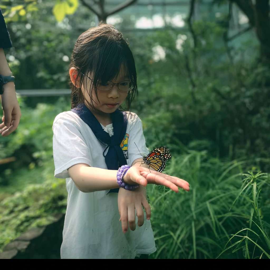 https://img-xpc-mj0.xpccdn.com/prod/upload/6e9dc18e-5afa-4c22-a935-60cd0e1cd4aa/%E5%BE%AE%E4%BF%A1%E5%9B%BE%E7%89%87_20251111164523_1438_207.png~tplv-5yakomv5zn-auto-v1%3A1024%3A0%3Aq75.jpg 一位大約十至十一歲的小學女生站在綠意盎然的草地裡，陽光從樹葉間灑下。她伸出手掌，一隻蝴蝶輕輕停留在她的手上。女孩專注而溫柔地觀察著蝴蝶，表情充滿好奇與純真。真實攝影風格，穿著學校運動服。 --ar 1:1 --v 7 --stylize 100 --fast --iw 1 --no 水印