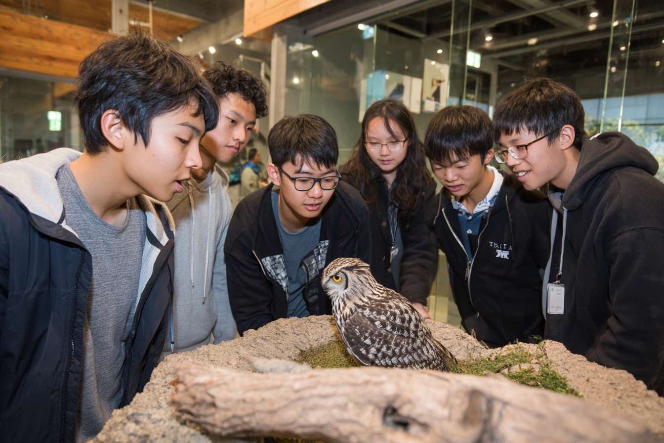 5個大學生圍成一個半圓形，中間是貓頭鷹，讓學生們看起來像是在觀察和觸摸動物 --ar 3:2 --v 7 --stylize 100 --fast --no 水印