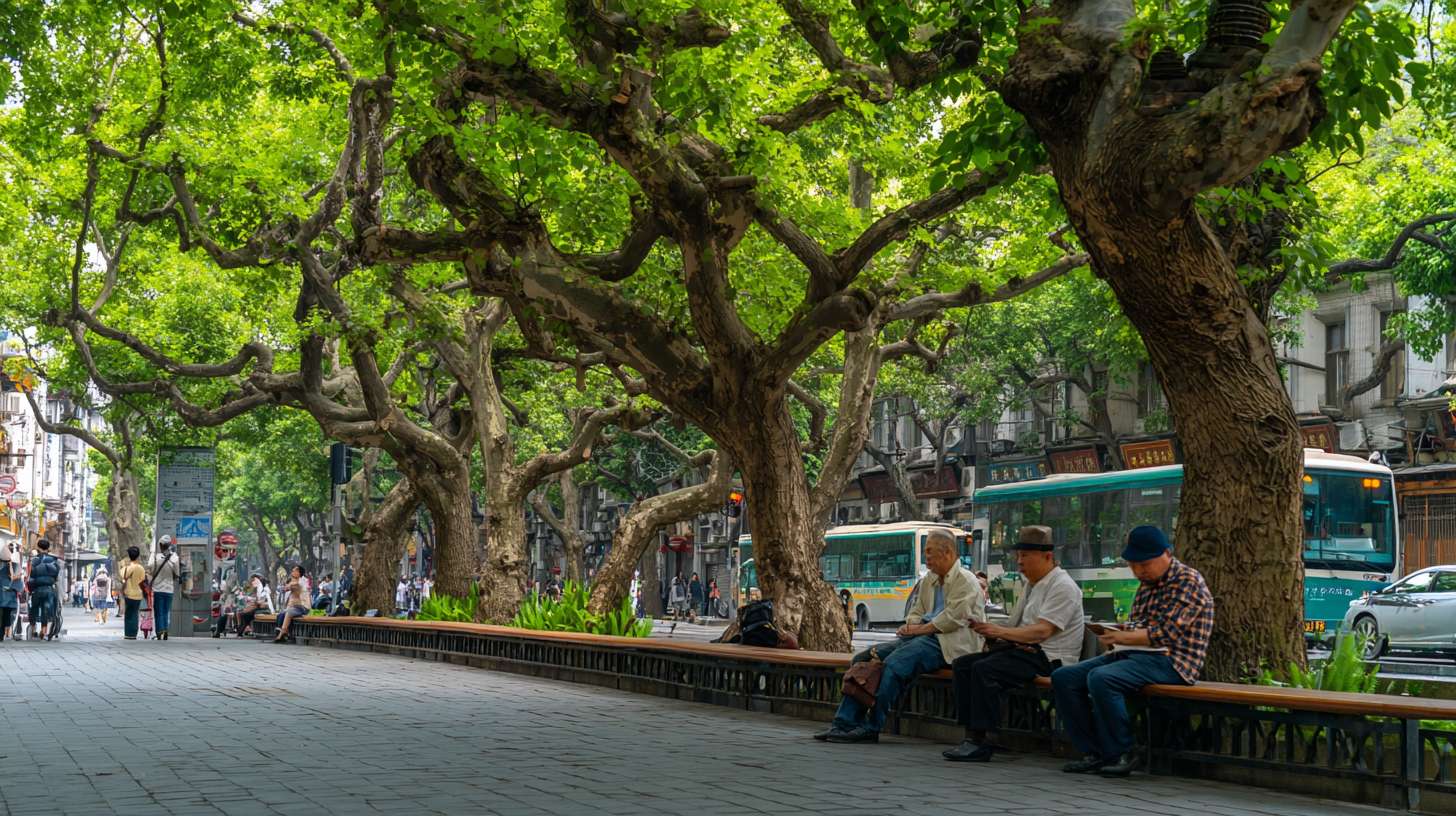 市民在树下休憩。 --ar 16:9 --v 7 --stylize 100 --fast --no 水印