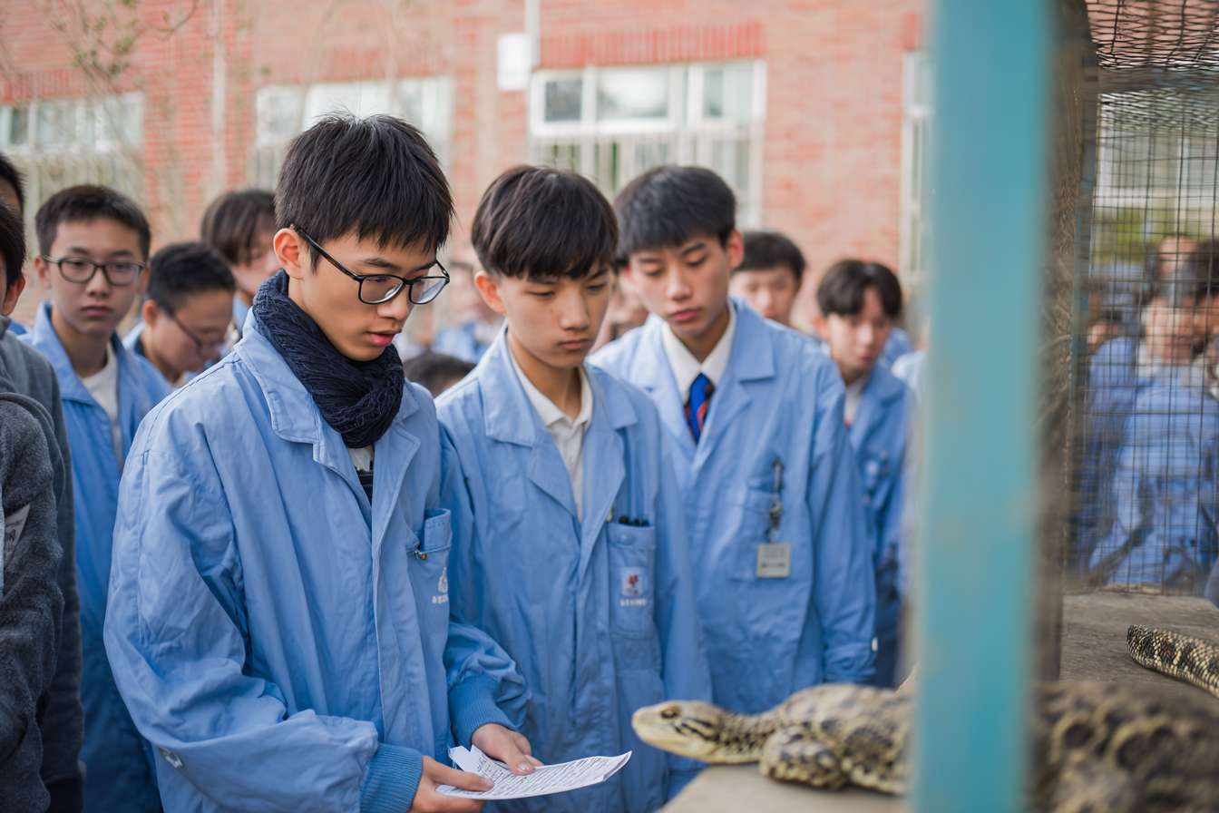 一班大學生圍成一個半圓形，中間是穿山甲、老虎、水獺、熊貓、飛鼠、龜等等的瀕危物種，讓學生們看起來像是在觀察和觸摸動物 --ar 3:2 --v 7 --stylize 100 --fast --no 水印