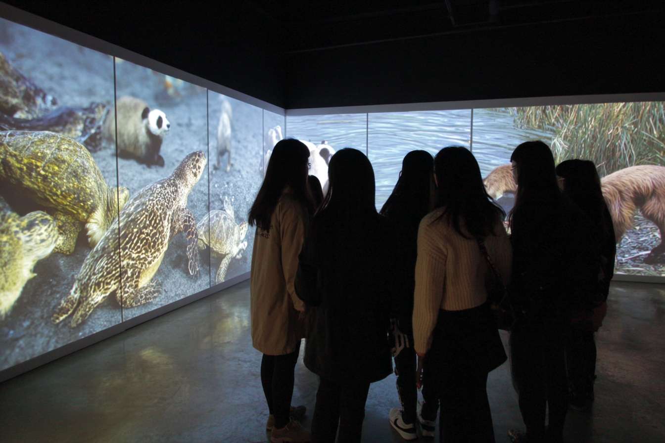 一班大學生圍成一個半圓形，以卡通的風格展示穿山甲、老虎、水獺、熊貓、飛鼠、龜等等的瀕危物種以可愛的卡通風格呈現，讓學生們看起來像是在觀察和互動畫面中的動物 --ar 3:2 --v 7 --stylize 100 --fast --no 水印