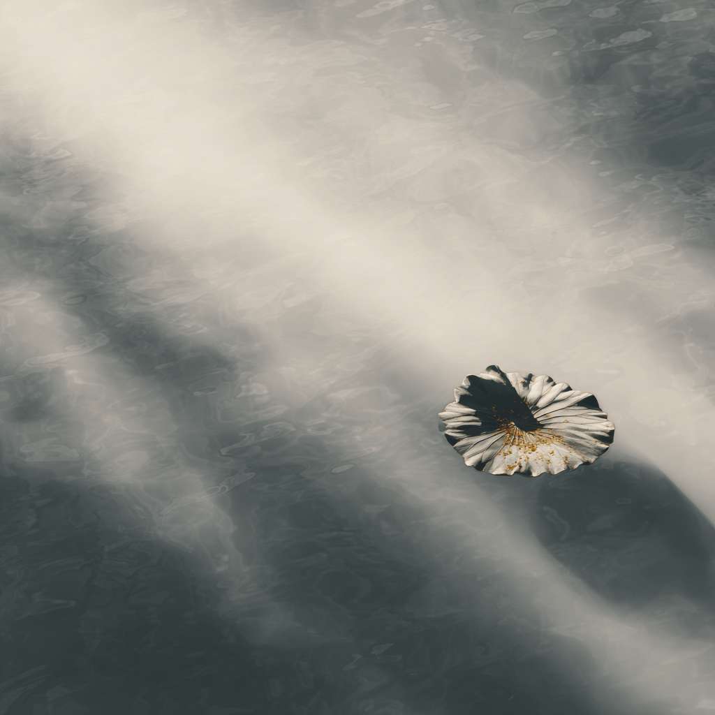 Minimalist Chinese Zen background:
A single ink-wash lotus leaf floating on rippling water,
soft sunlight creating dappled shadows through mist,
monochrome palette with one faint gold accent light,
80% negative space, no text,
ultra HD details --ar 1:1 --v 7 --stylize 100 --fast