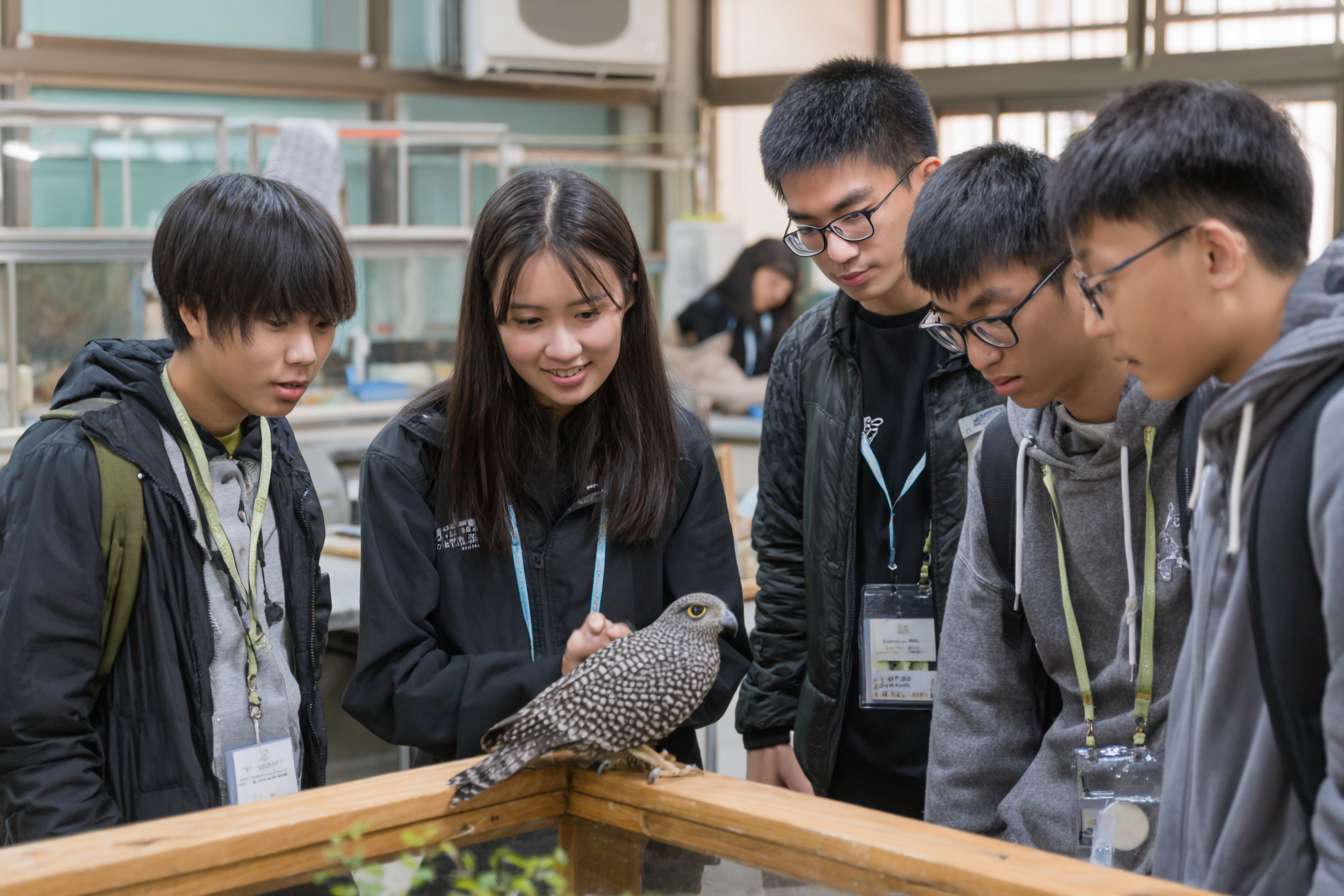 5個大學生圍成一個半圓形，中間是貓頭鷹，讓學生們看起來像是在觀察和觸摸動物 --ar 3:2 --v 7 --stylize 100 --fast --no 水印