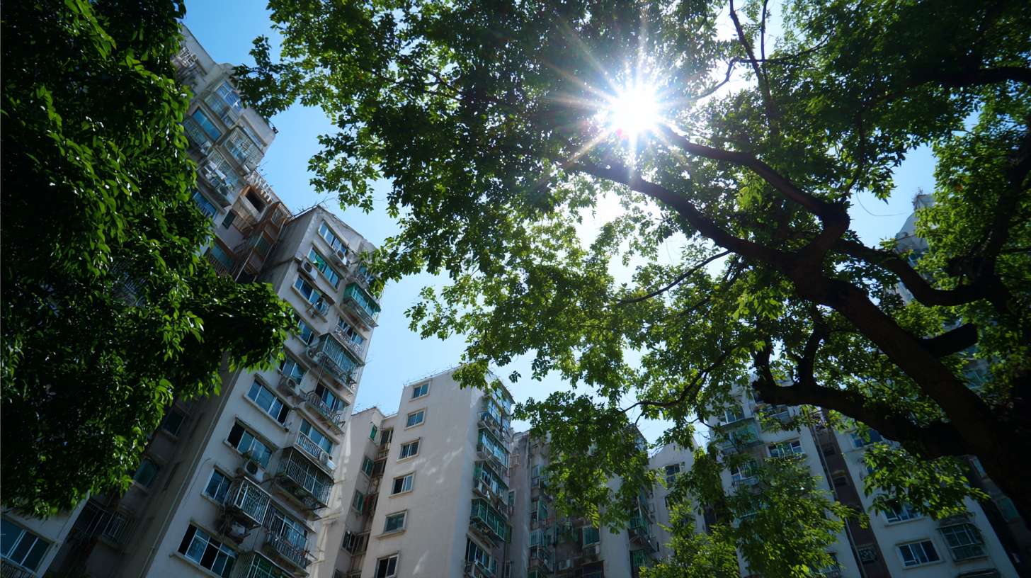 一个健身房的外景，阳光照耀洒在树上，树影斑斓，参考上海的弄堂 --ar 16:9 --v 7 --stylize 100 --fast --no 水印