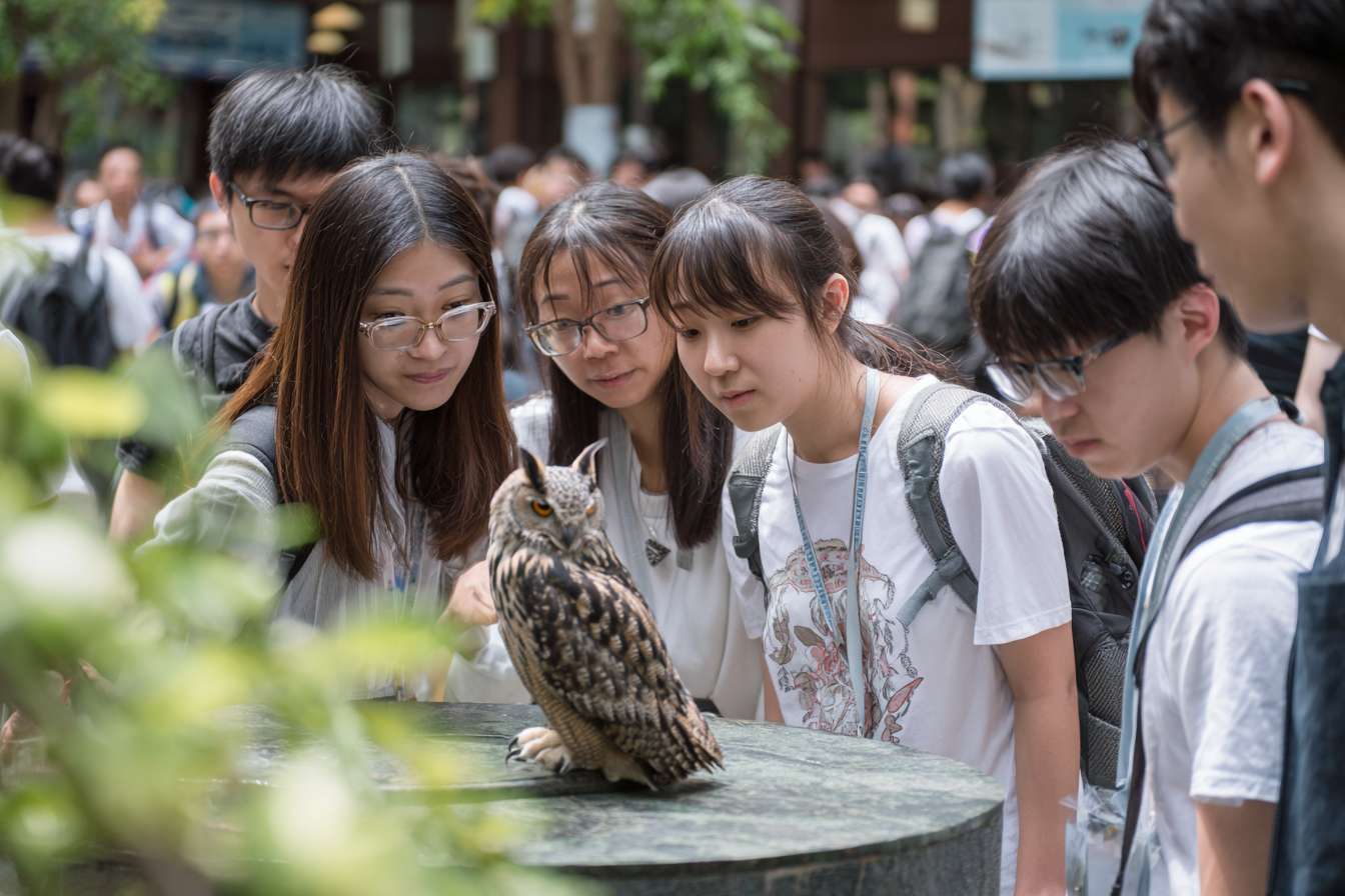 5個大學生圍成一個半圓形，中間是貓頭鷹，讓學生們看起來像是在觀察和觸摸動物 --ar 3:2 --v 7 --stylize 100 --fast --no 水印