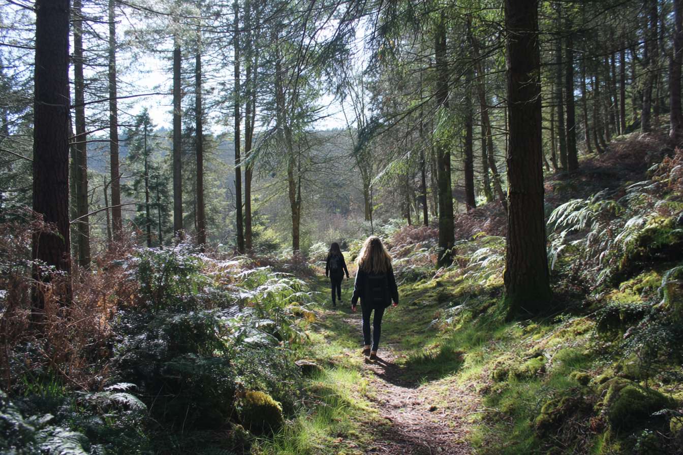forest mindfulness walks --ar 3:2 --v 7 --stylize 100 --fast