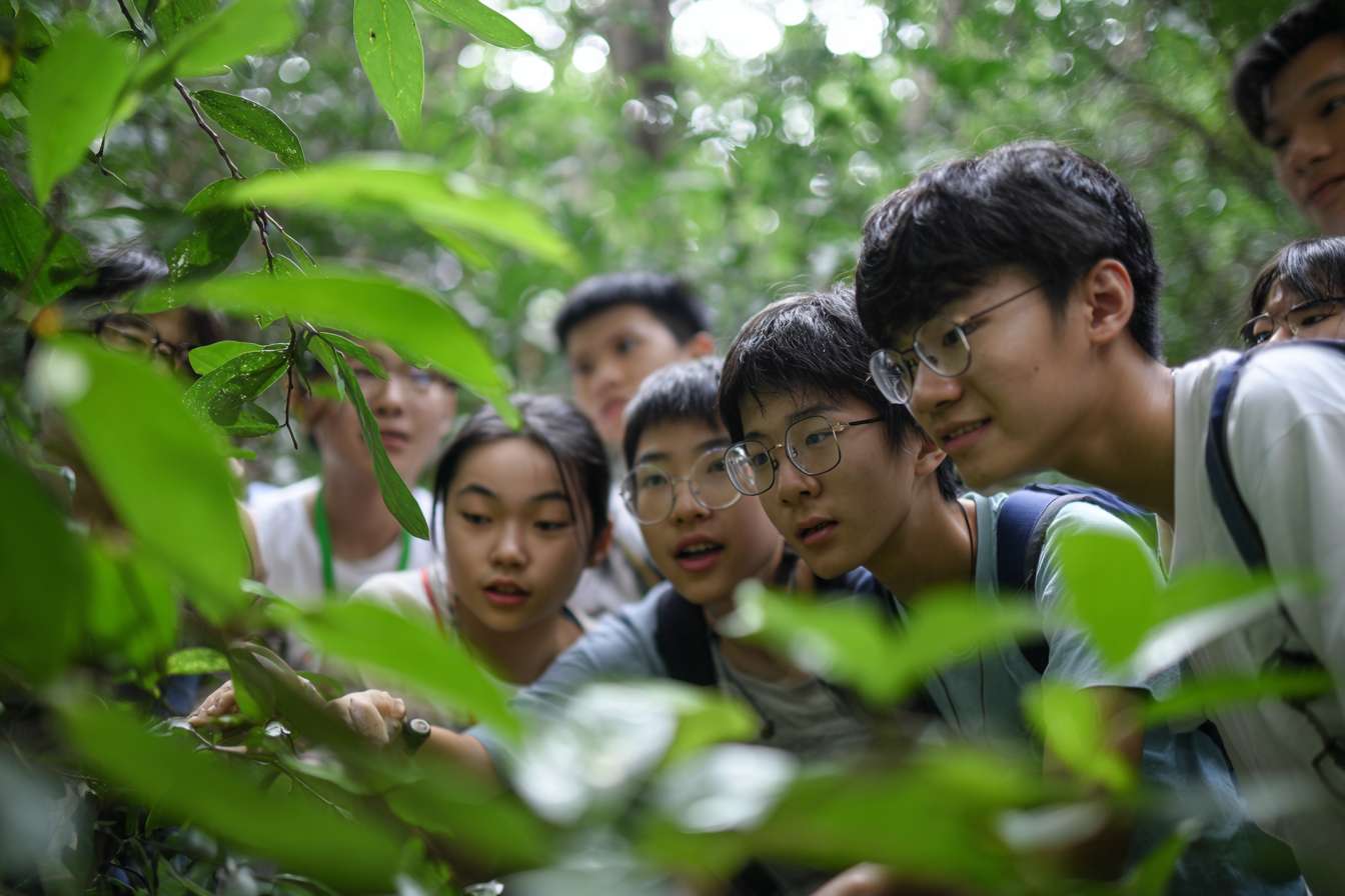 一班大學生圍成一個半圓形，中間是穿山甲、老虎、水獺、熊貓、飛鼠、龜等等的瀕危物種，讓學生們看起來像是在觀察和互動畫面中的動物 --ar 3:2 --v 7 --stylize 100 --fast --no 水印
