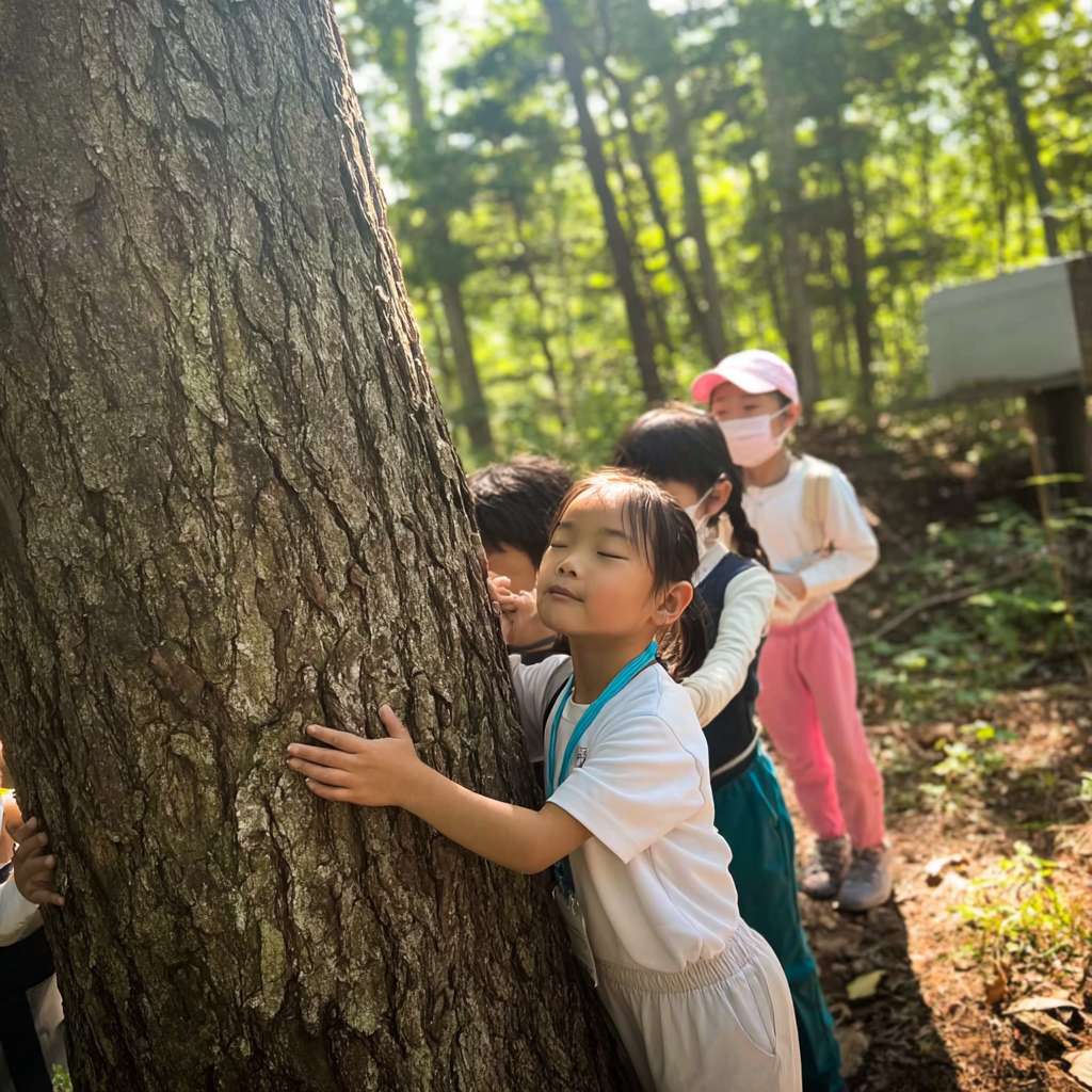 https://img-xpc-mj0.xpccdn.com/prod/upload/53afdc64-cd2c-4959-a03d-1d4265145417/%E5%BE%AE%E4%BF%A1%E5%9B%BE%E7%89%87_20251111164933_1442_207.png~tplv-5yakomv5zn-auto-v1%3A1024%3A0%3Aq75.jpg 三位大約十至十一歲的小學生圍繞著一棵大樹，雙手輕觸樹幹，閉上眼睛感受大自然的氣息。陽光穿過樹葉灑下，光線柔和自然，背景是森林或公園環境，氣氛平靜、溫暖、真實。真實攝影風格，運動服整潔，構圖自然 --ar 1:1 --v 7 --stylize 100 --fast --iw 1 --no 水印