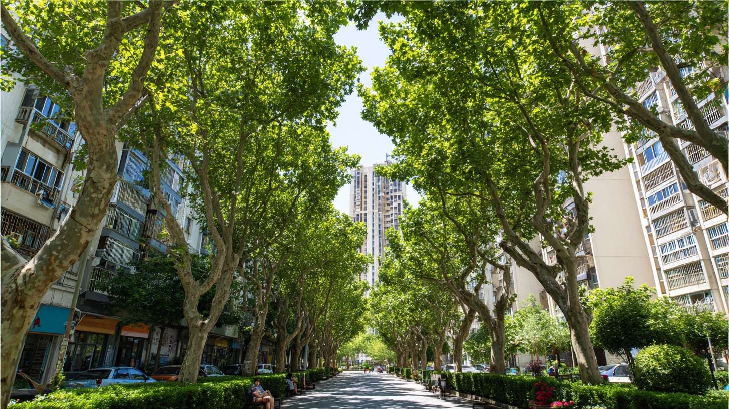 画面是充满生机的城市绿化景观：郁郁葱葱的行道树、小区内的绿荫、市民在树下休憩。 --ar 16:9 --v 7 --stylize 100 --fast --no 水印