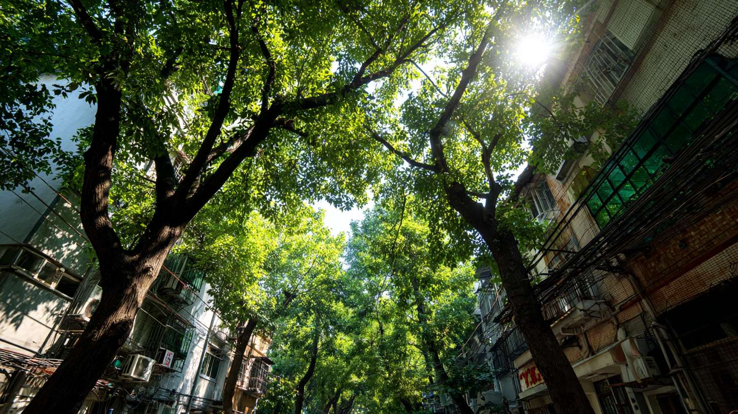 一个健身房的外景，阳光照耀洒在树上，树影斑斓，参考上海的弄堂 --ar 16:9 --v 7 --stylize 100 --fast --no 水印