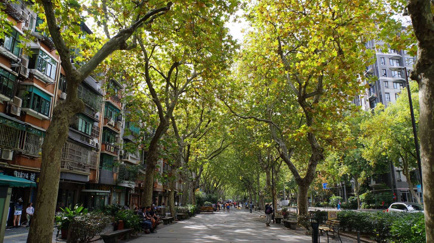 画面是充满生机的城市绿化景观：郁郁葱葱的行道树、小区内的绿荫、市民在树下休憩。 --ar 16:9 --v 7 --stylize 100 --fast --no 水印