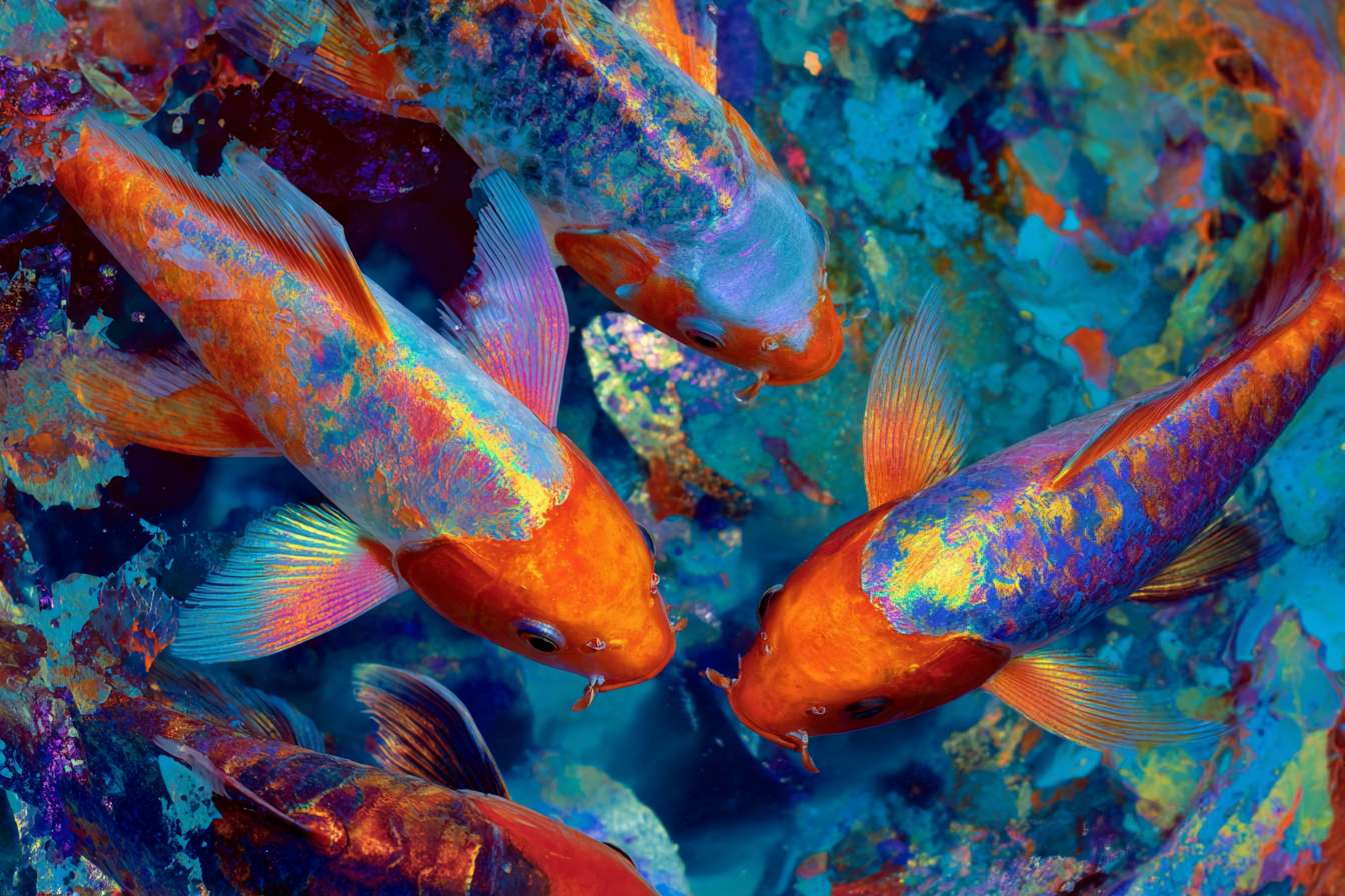 Vibrant underwater fantasy: blue water, 五彩光影，and energetic koi, 粗笔触 for texture, 细笔触 for movement, abstract. --ar 3:2 --v 7 --stylize 100 --fast --no 水印