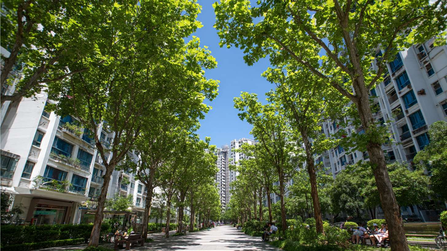 画面是充满生机的城市绿化景观：郁郁葱葱的行道树、小区内的绿荫、市民在树下休憩。 --ar 16:9 --v 7 --stylize 100 --fast --no 水印