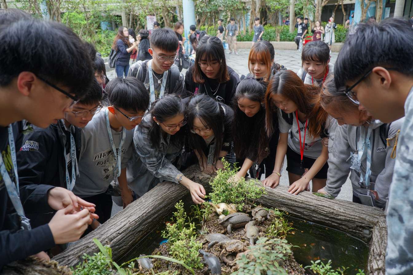 一班大學生圍成一個半圓形，中間是穿山甲、老虎、水獺、熊貓、飛鼠、龜等等的瀕危物種，讓學生們看起來像是在觀察和觸摸動物 --ar 3:2 --v 7 --stylize 100 --fast --no 水印