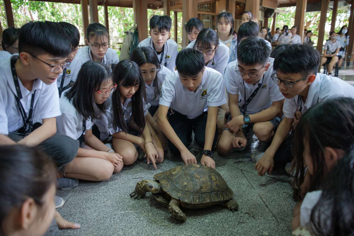 一班大學生圍成一個半圓形，中間是穿山甲、老虎、水獺、熊貓、飛鼠、龜等等的瀕危物種，讓學生們看起來像是在觀察和觸摸動物 --ar 3:2 --v 7 --stylize 100 --fast --no 水印
