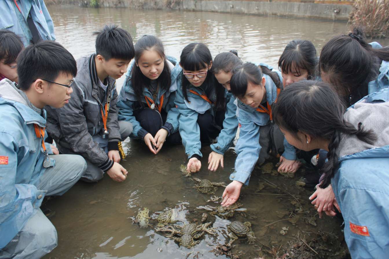 一班大學生圍成一個半圓形，中間是蛙、飛鼠 等等的瀕危物種，讓學生們看起來像是在觀察和觸摸動物 --ar 3:2 --v 7 --stylize 100 --fast --no 水印